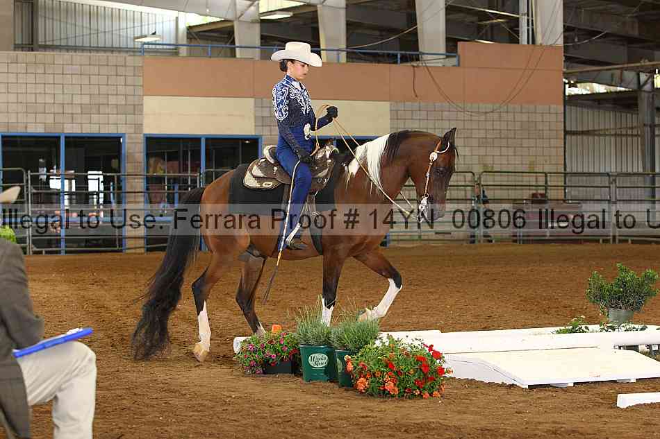 Proof 14yn_00806