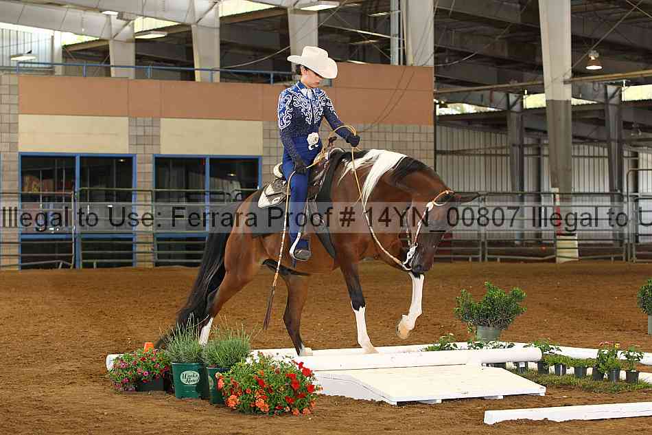 Proof 14yn_00807