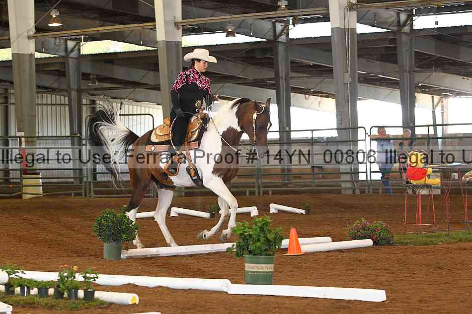 Proof 14yn_00808