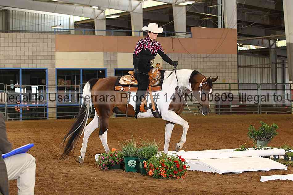 Proof 14yn_00809