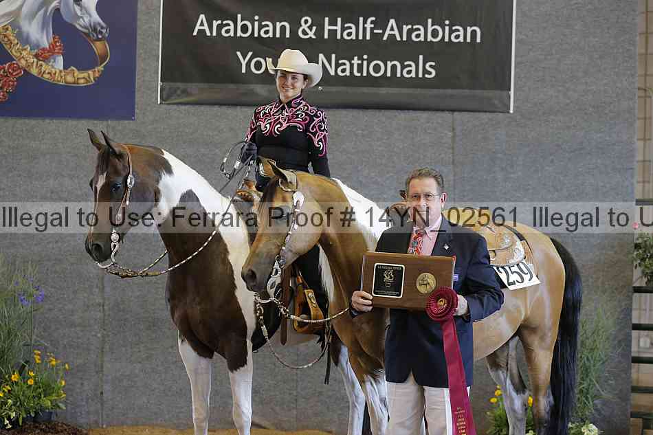 Proof 14yn_02561