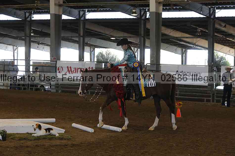 Proof 14yn_02586