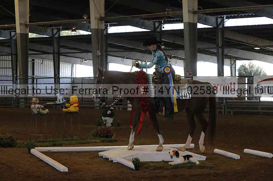 Proof 14yn_02588