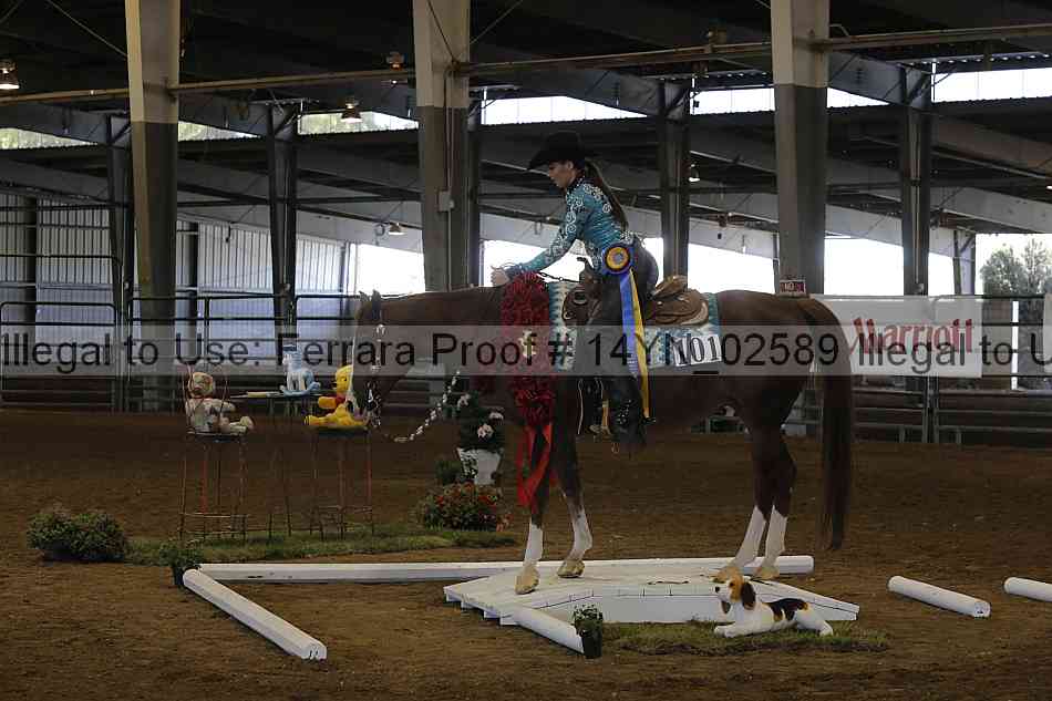 Proof 14yn_02589