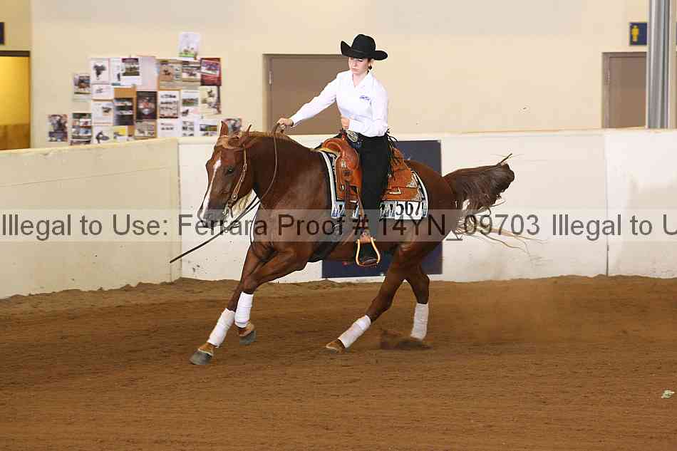 Proof 14yn_09703