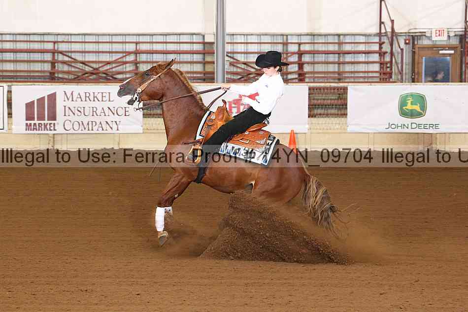 Proof 14yn_09704