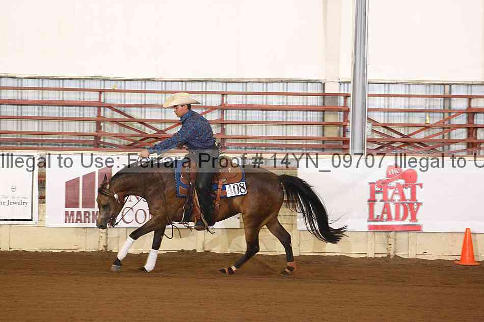 Proof 14yn_09707