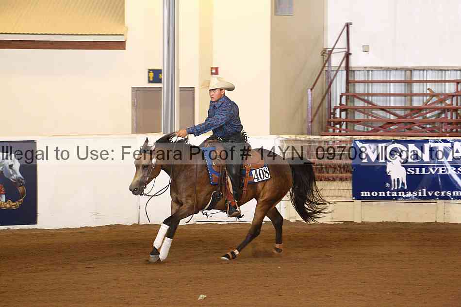 Proof 14yn_09708