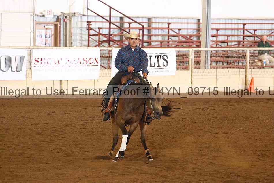 Proof 14yn_09715