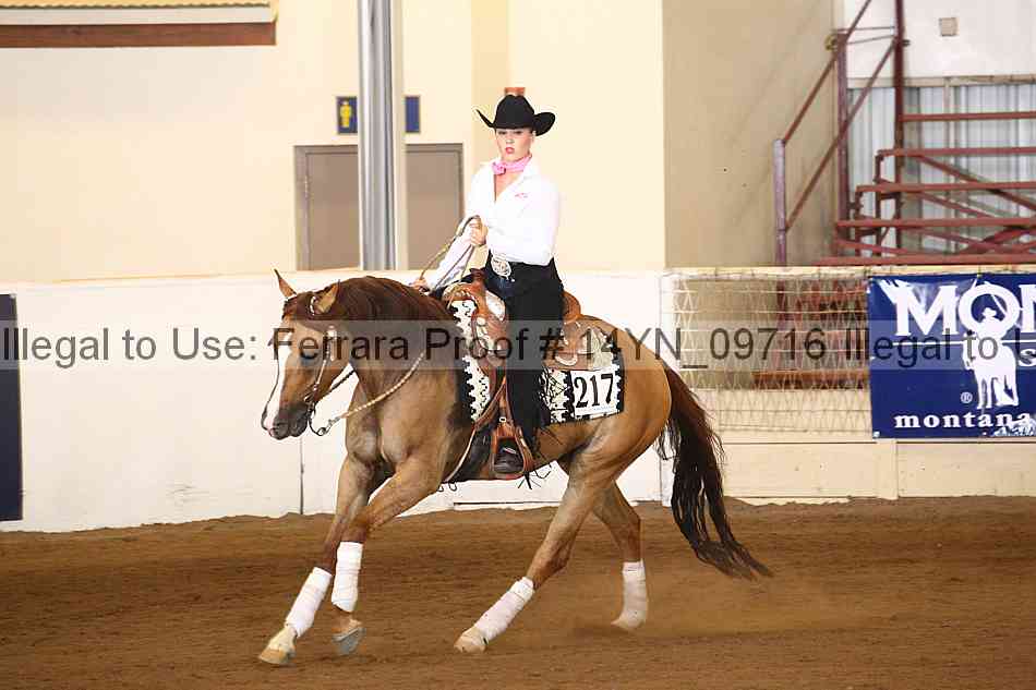 Proof 14yn_09716