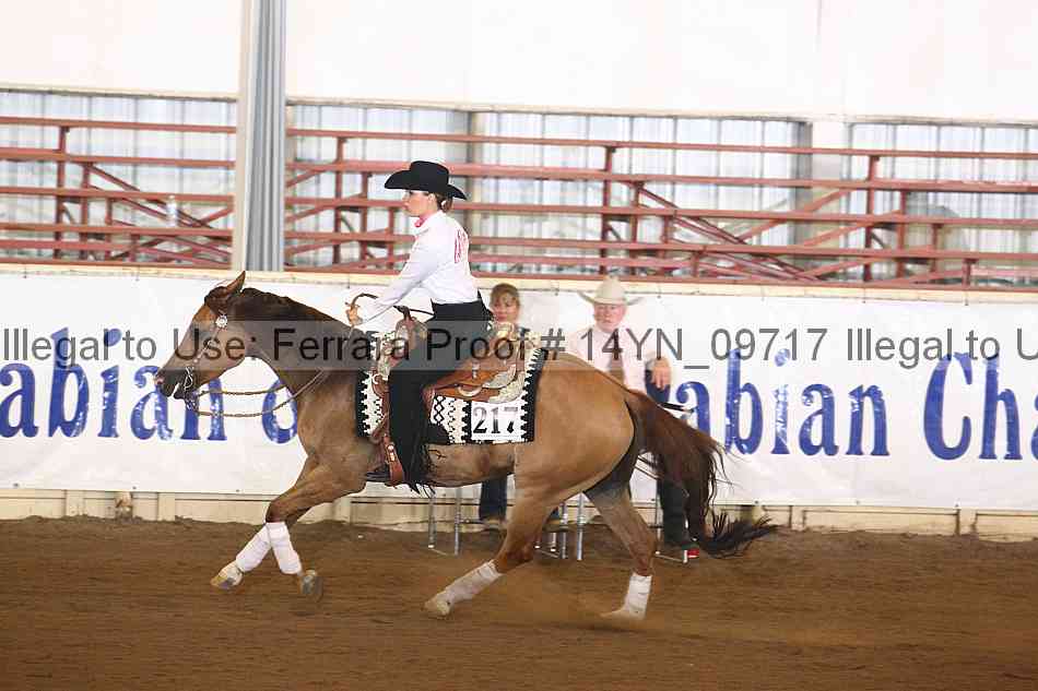 Proof 14yn_09717