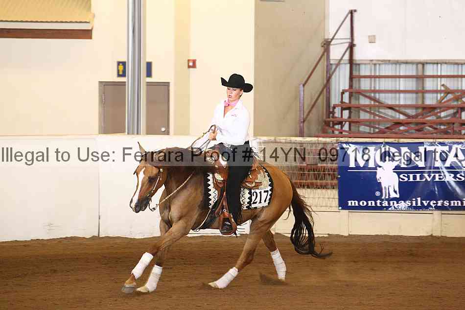 Proof 14yn_09718
