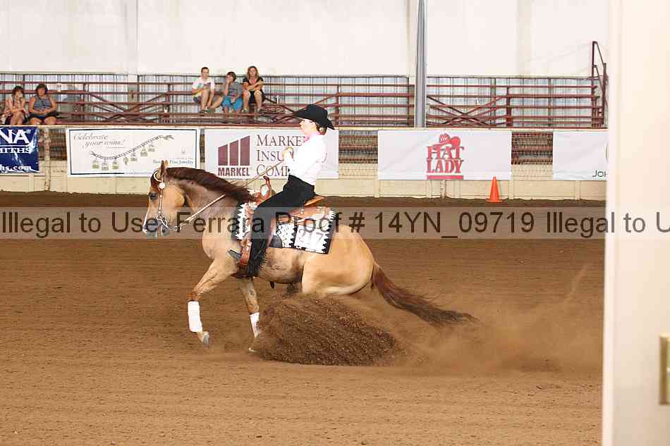 Proof 14yn_09719