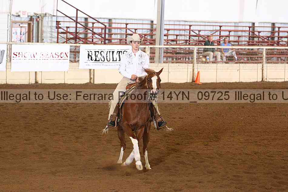 Proof 14yn_09725