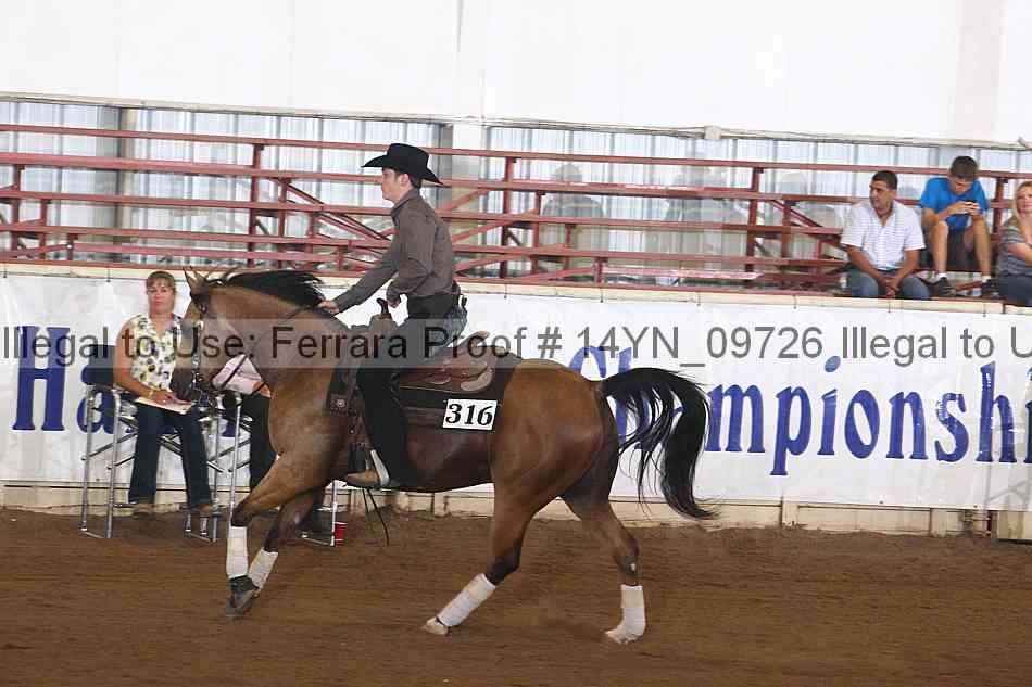 Proof 14yn_09726
