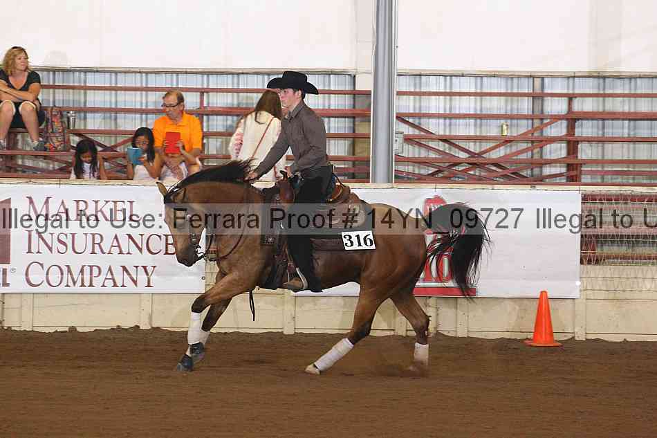 Proof 14yn_09727