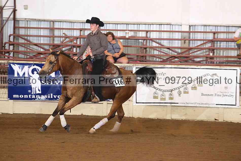 Proof 14yn_09729