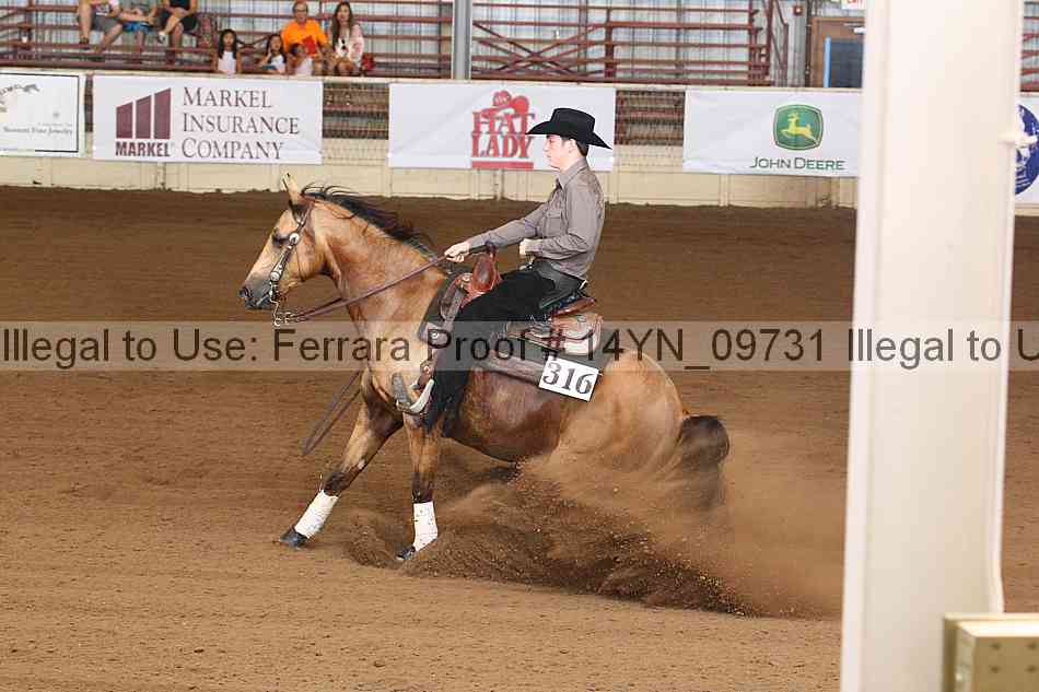 Proof 14yn_09731