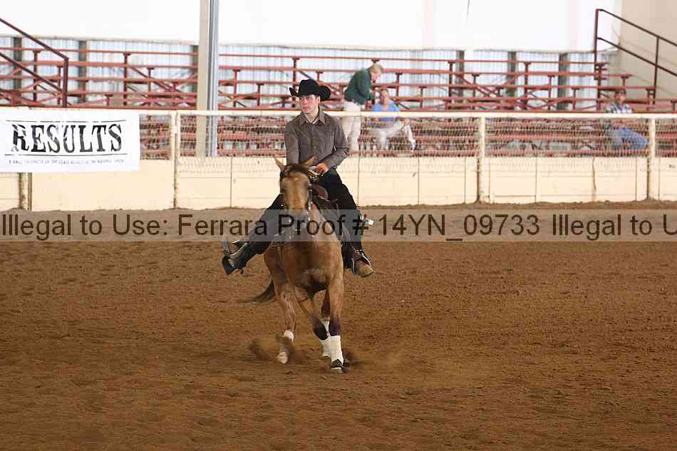 Proof 14yn_09733