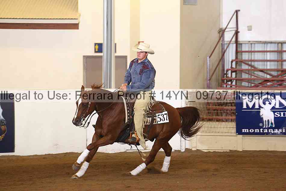 Proof 14yn_09737