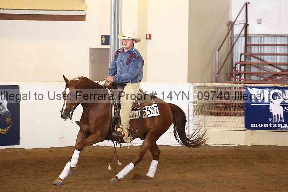 Proof 14yn_09740