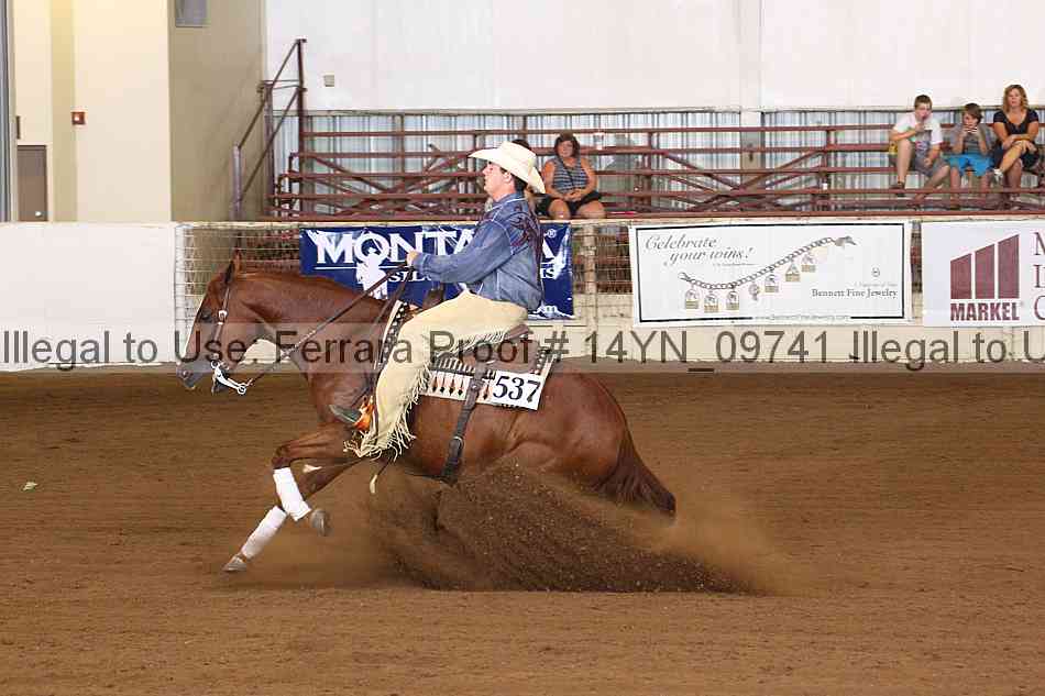 Proof 14yn_09741