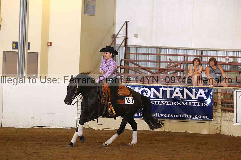 Proof 14yn_09746