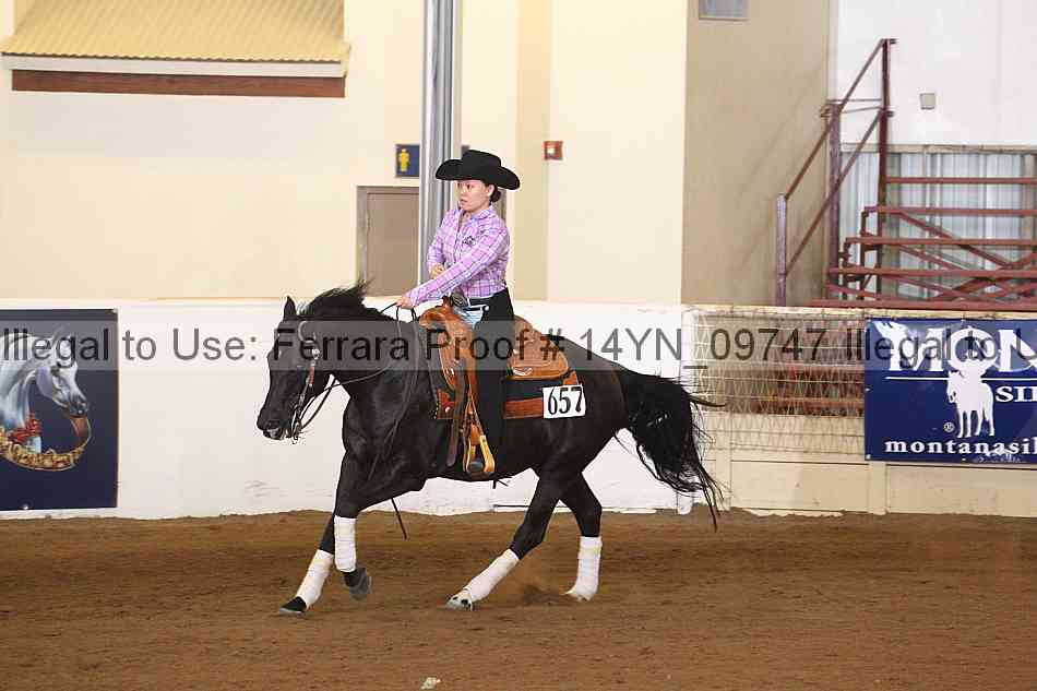 Proof 14yn_09747