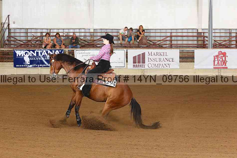 Proof 14yn_09756