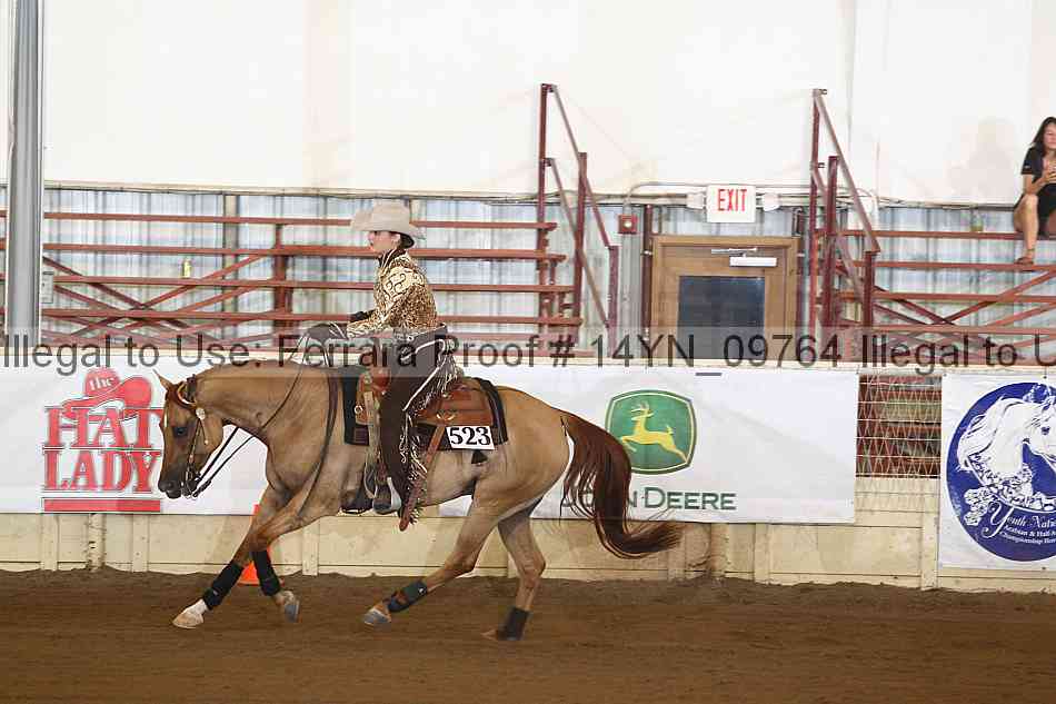Proof 14yn_09764