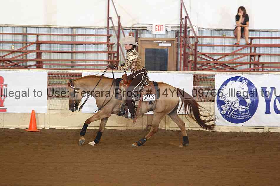 Proof 14yn_09766