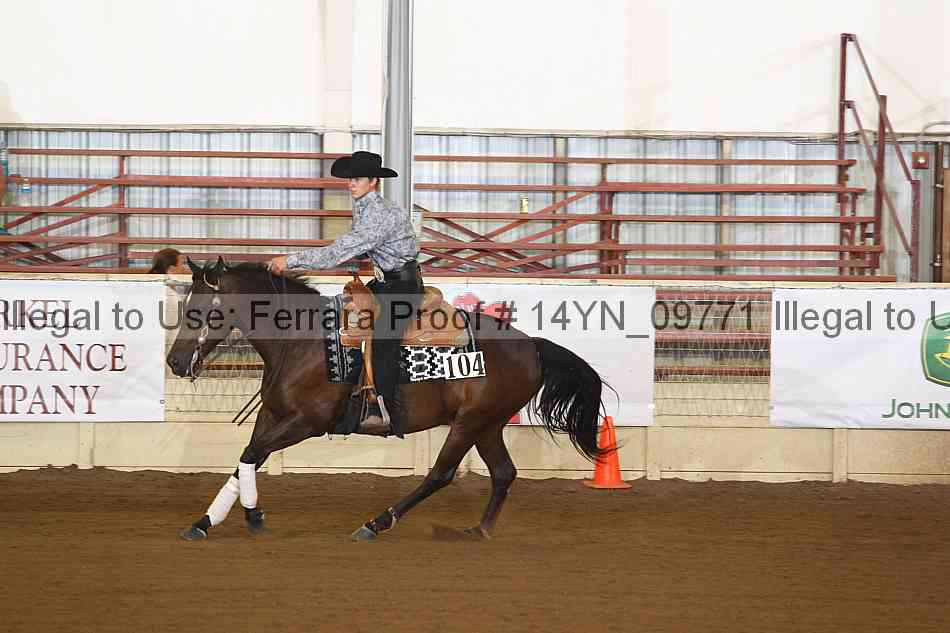 Proof 14yn_09771