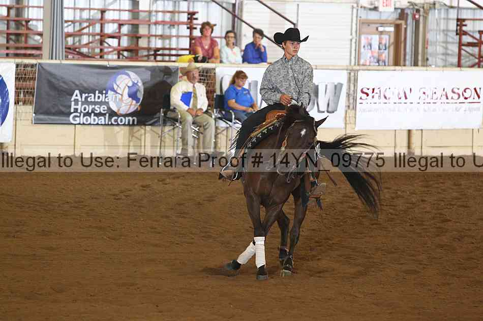 Proof 14yn_09775