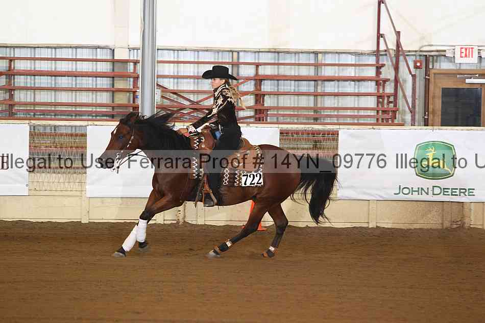 Proof 14yn_09776