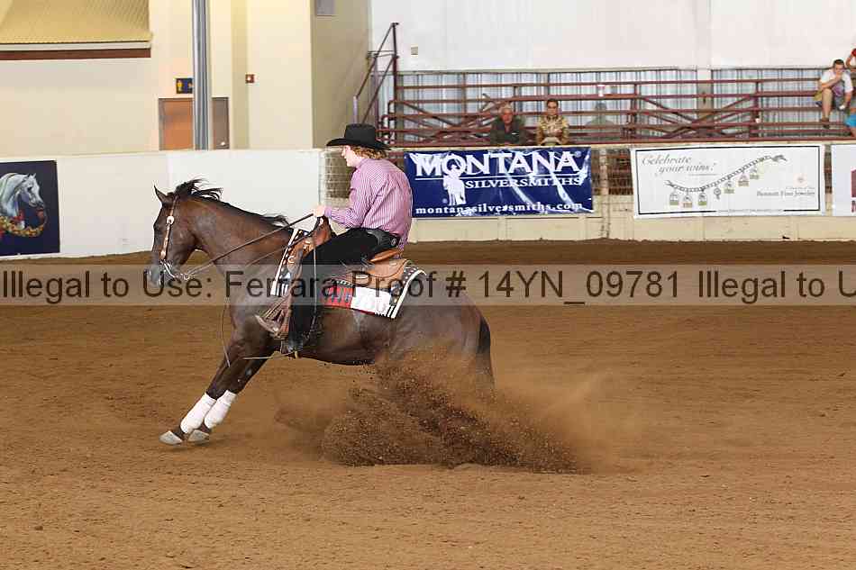 Proof 14yn_09781