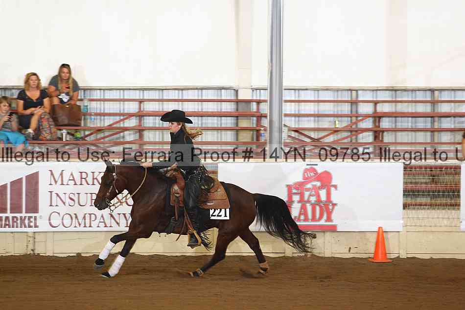 Proof 14yn_09785