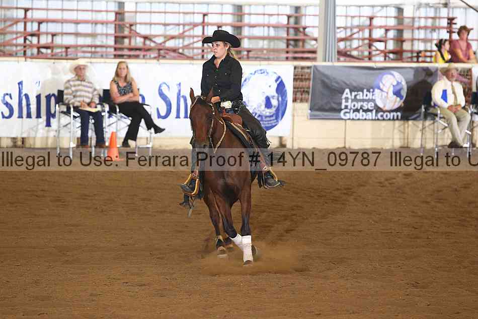 Proof 14yn_09787