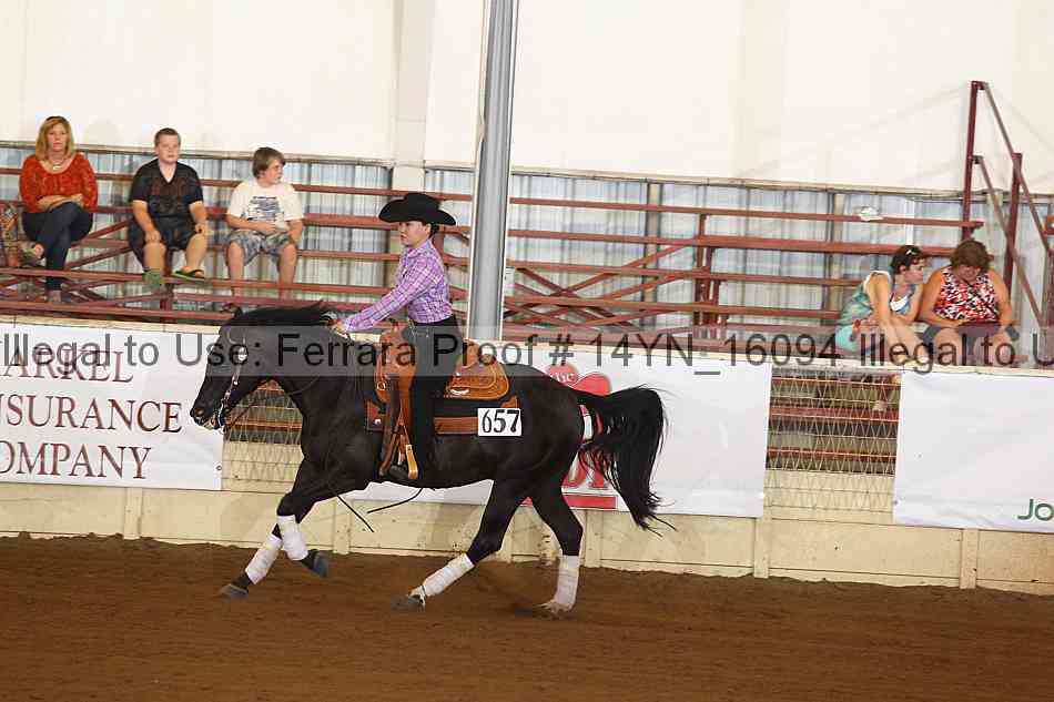 Proof 14yn_16094