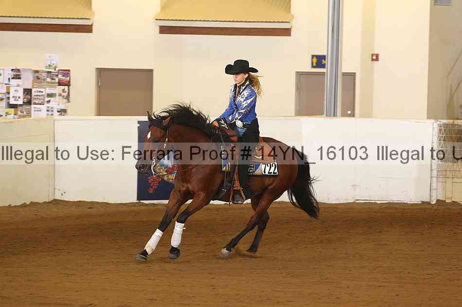 Proof 14yn_16103