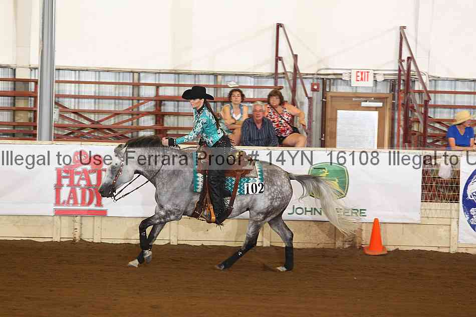 Proof 14yn_16108