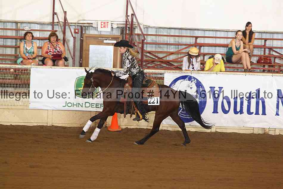 Proof 14yn_16161