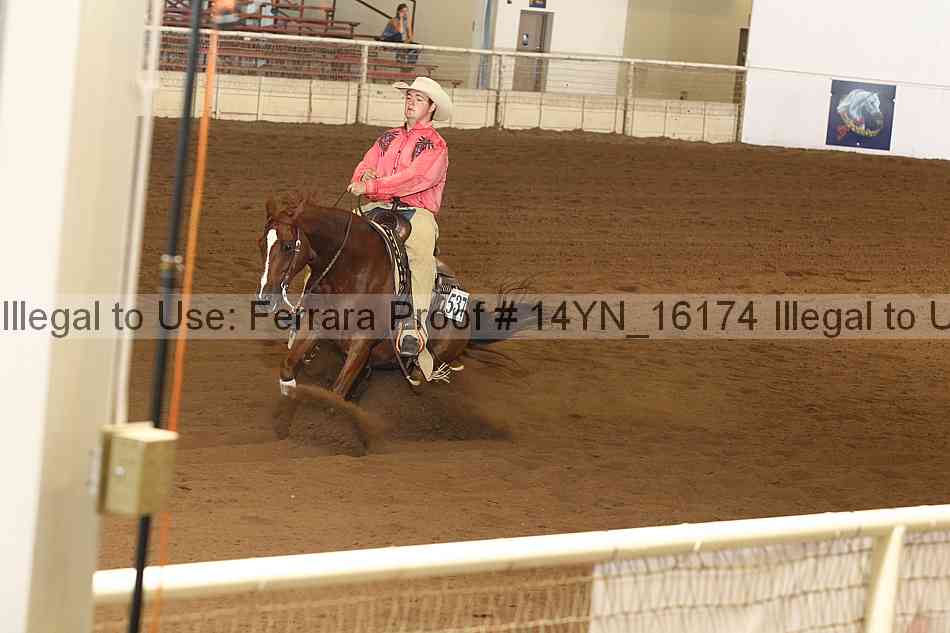 Proof 14yn_16174