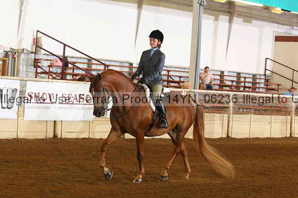 Proof 14yn_06236