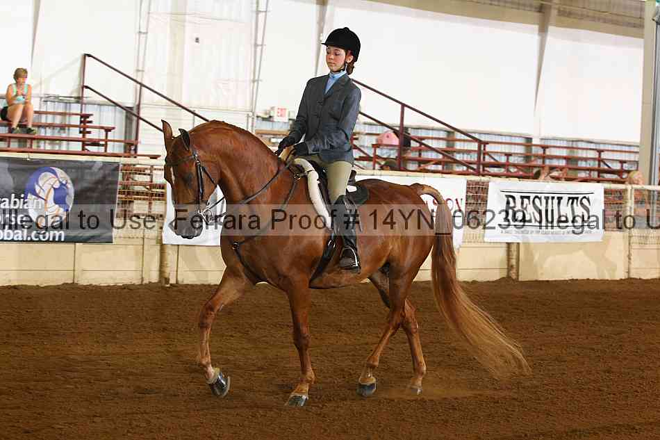 Proof 14yn_06239