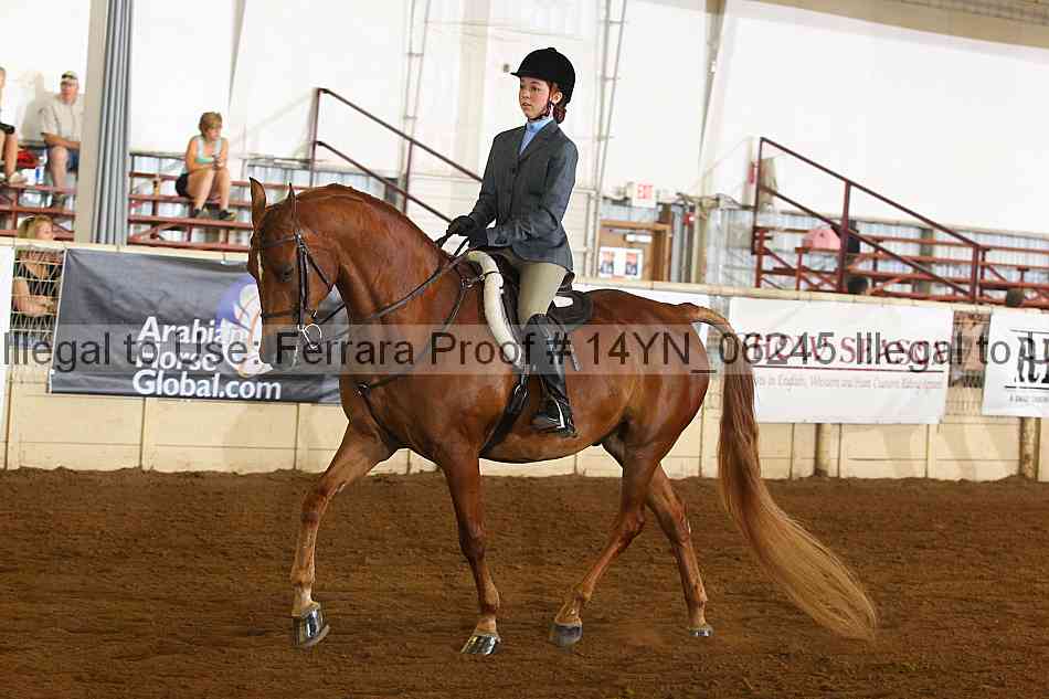 Proof 14yn_06245