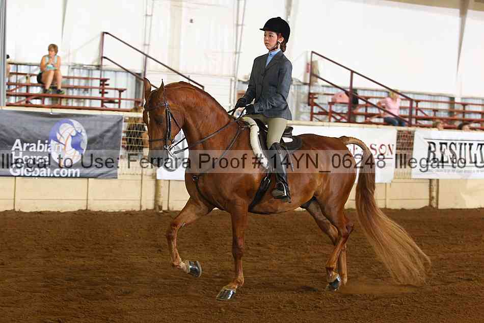 Proof 14yn_06248