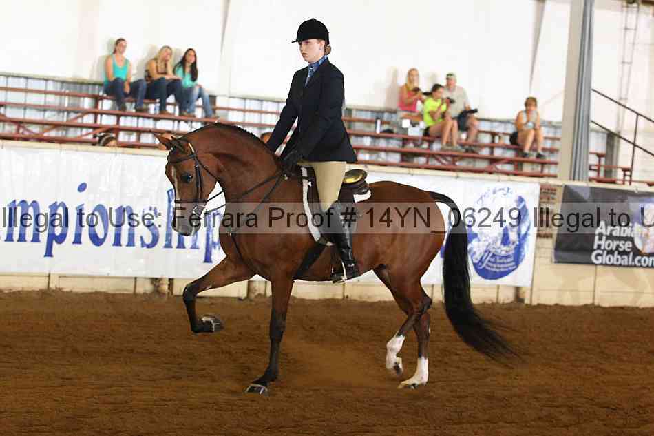 Proof 14yn_06249