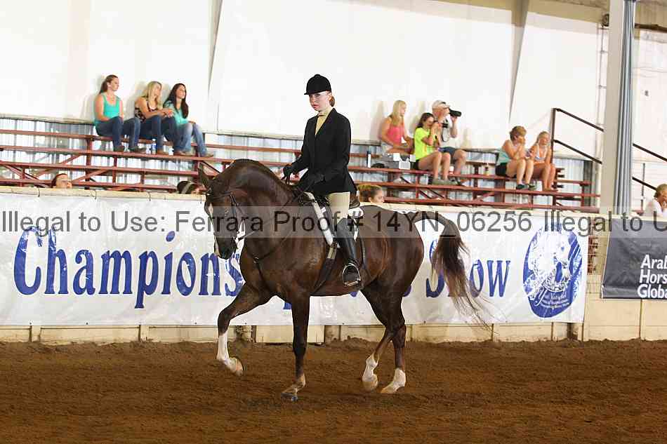 Proof 14yn_06256