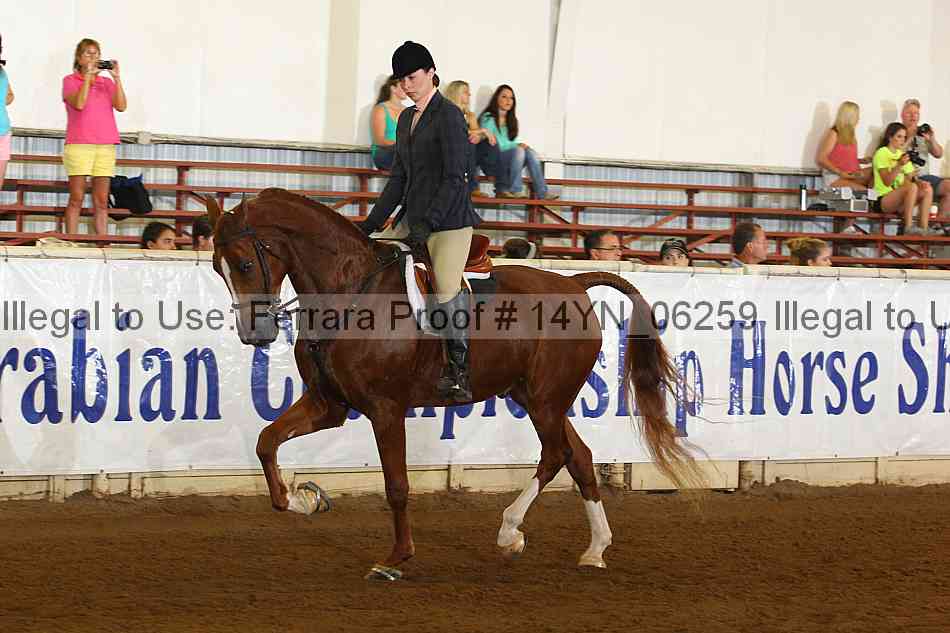 Proof 14yn_06259