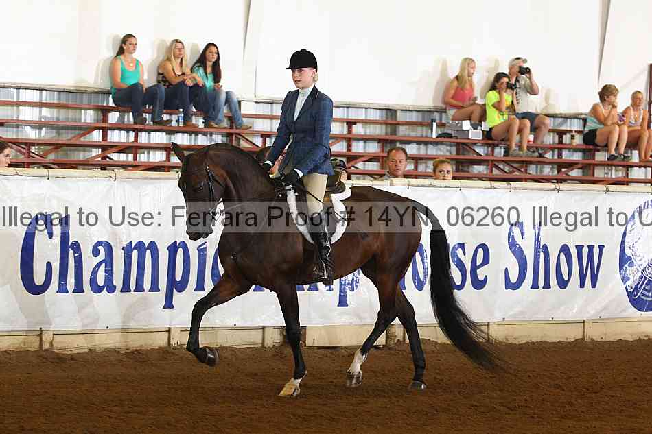 Proof 14yn_06260